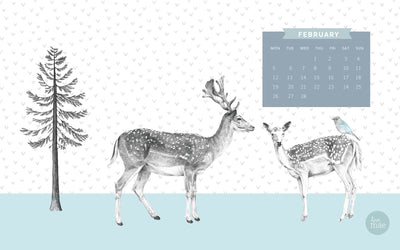 NEW DESKTOP CALENDAR FOR FEBRUARY 2018