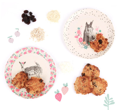 Oat and Raisin Cookie Recipe